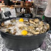 oyster_farming